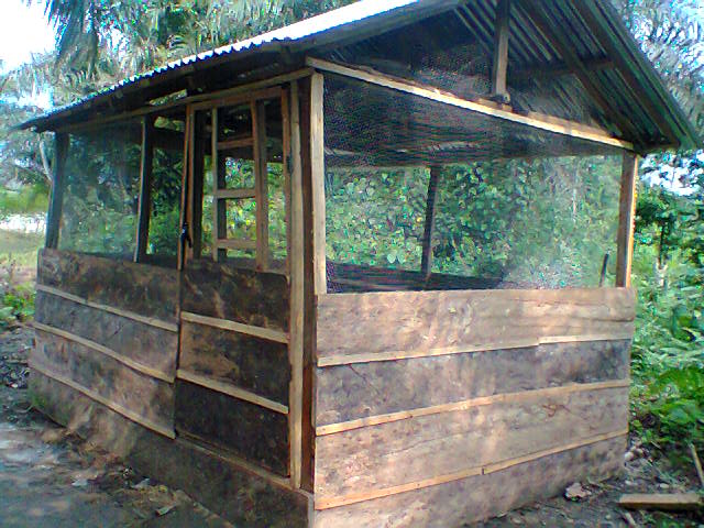 Photo0273