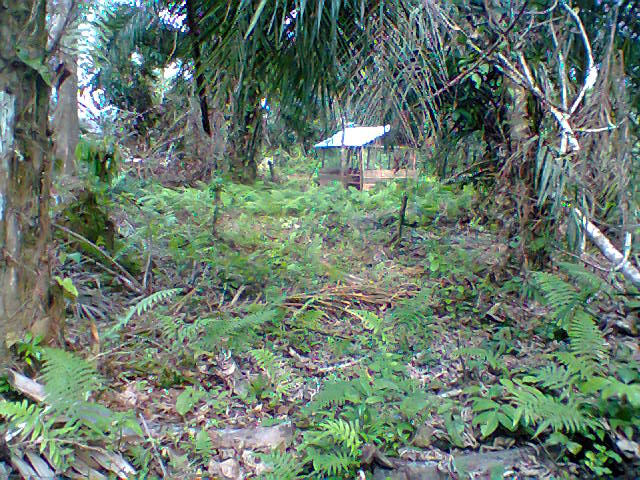 Photo0275