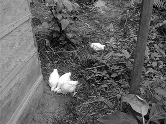 Photo0253