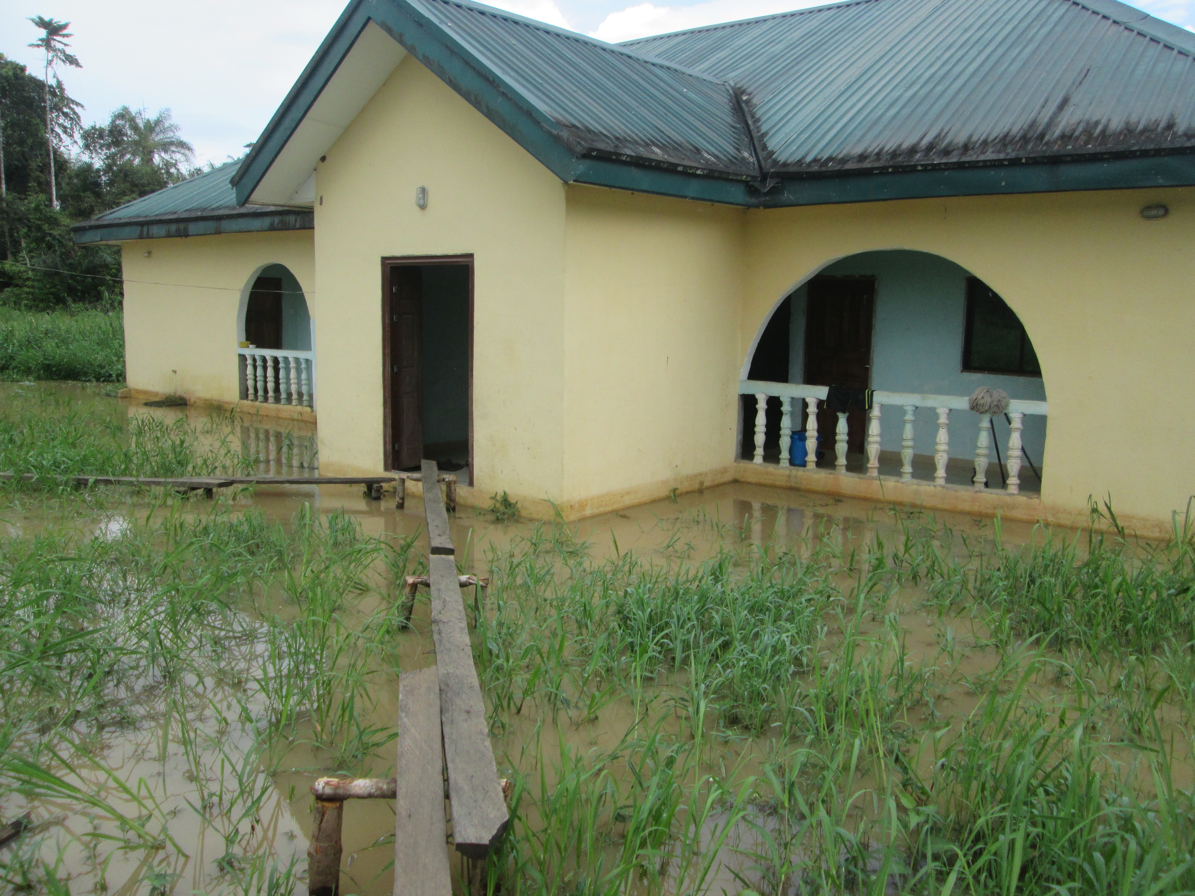 IMG0662-20